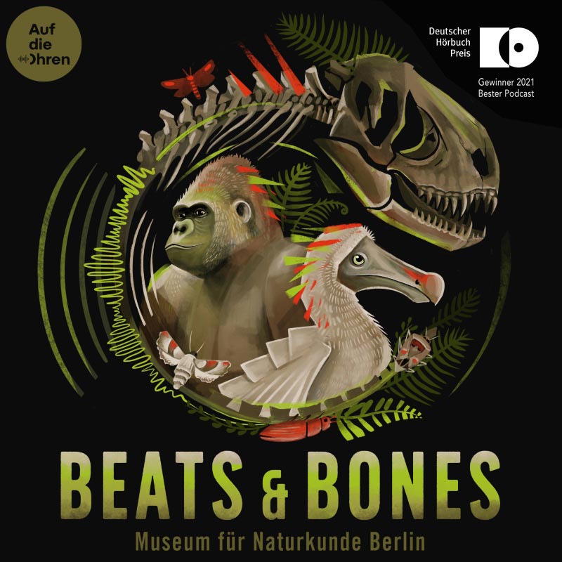 Beats & Bones Podcast Cover