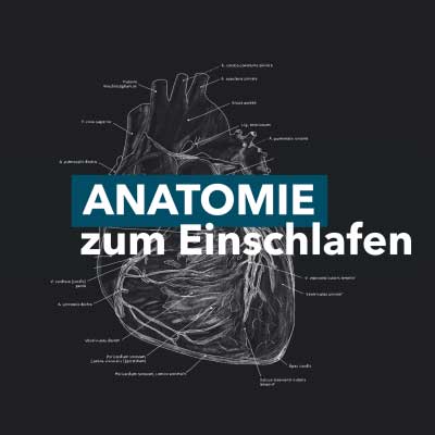 anatomie-zum-einschlafen-cover