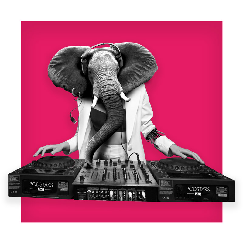 DJ-Elefant an den Turntables