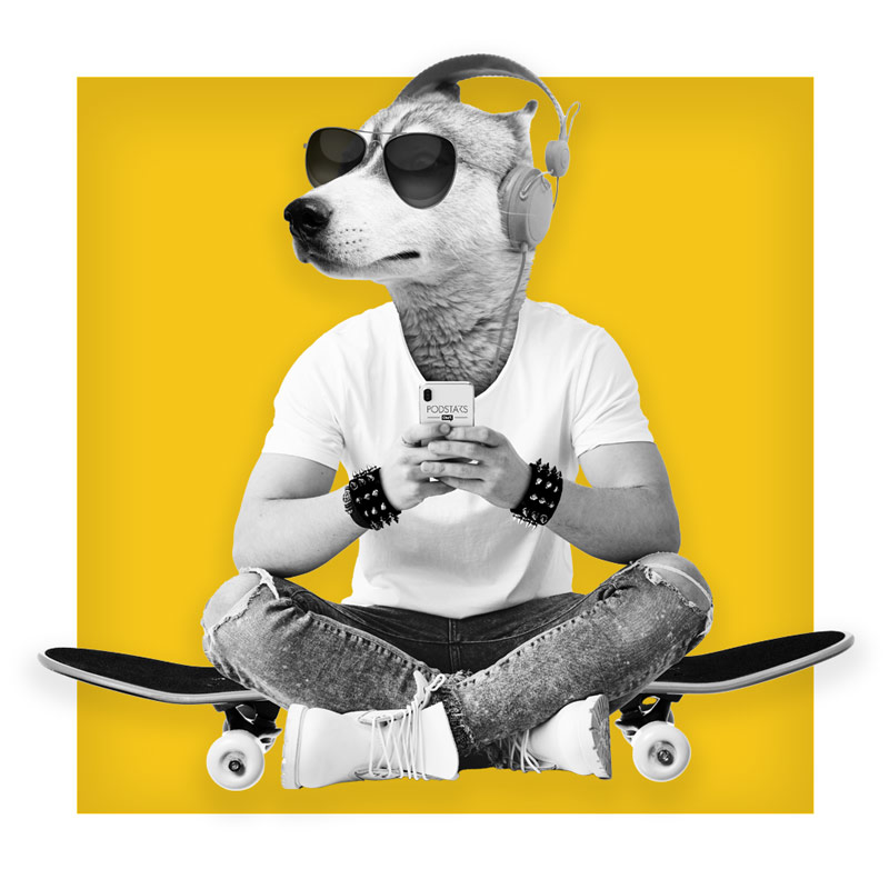 Husky mit Sonnenbrille und Kopfhörern sitzend auf dem Skateboard