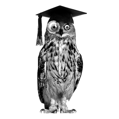 podstars-by-omr-owl